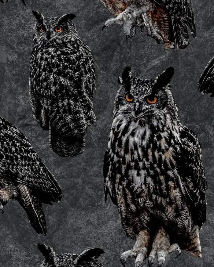 PRE ORDER Eagle owl sweat - Paapii Design x Finsket - Afbeelding 4