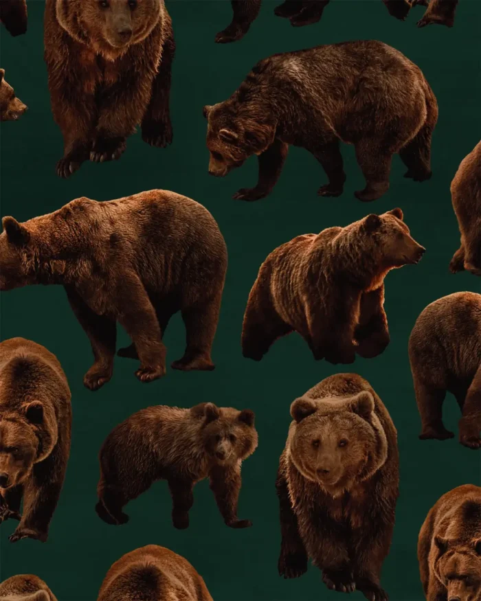 PRE ORDER Bears Juniper sweat - Paapii Design x Finsket - Afbeelding 4
