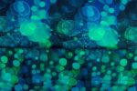 Sparkle - Stenzo Textiles - Afbeelding 5